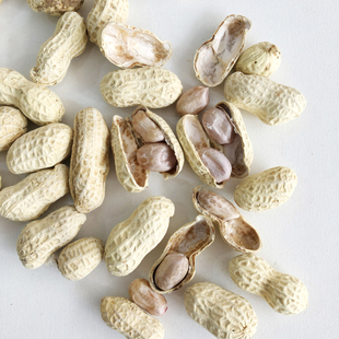 青山水煮花生5包河源龙川特产500g大粒花生车田粒粒香