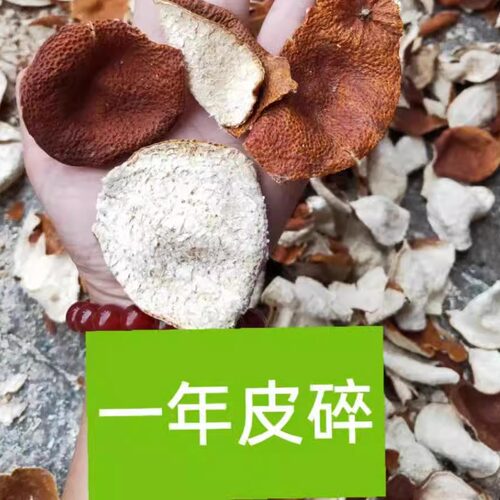 新会特产2025年-15年大红开边旧碎皮角皮特价自家用煲汤250克包邮