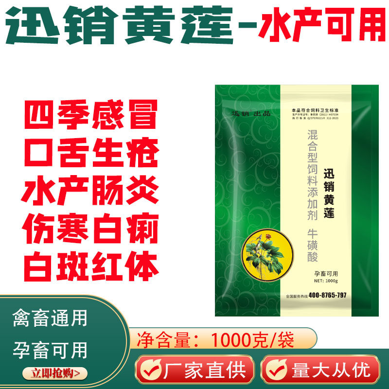 黄连解毒散粉黄莲粉兽用猪牛羊禽鸡鸭鹅水产肠炎四季流感白痢白斑