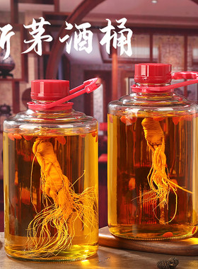 青梅泡酒瓶专用玻璃瓶加厚葡萄酒瓶子容器自酿泡酒罐密封提手瓶子