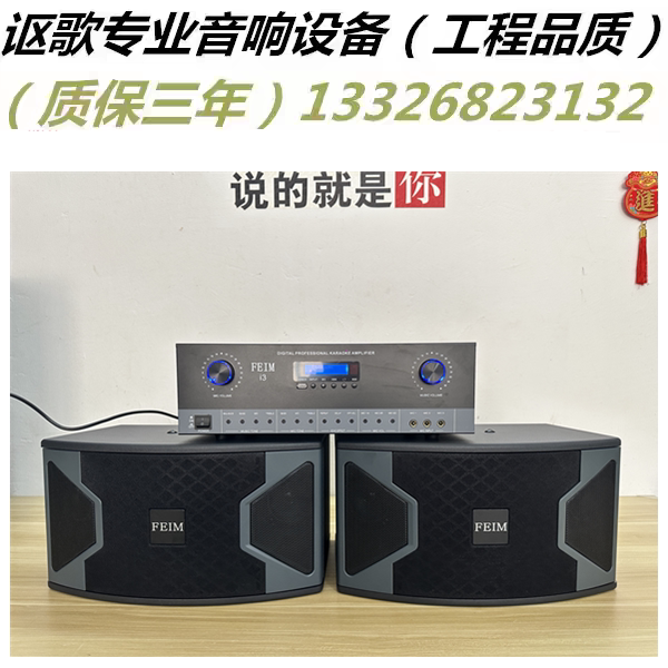 家用KTV音响301V5背景8寸重低音卡拉OK多媒体会议家庭KTV壁挂音箱