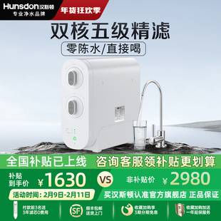 汉斯顿0阻垢剂0陈水家用直饮净水器D3厨房自来水过滤反渗透纯水机