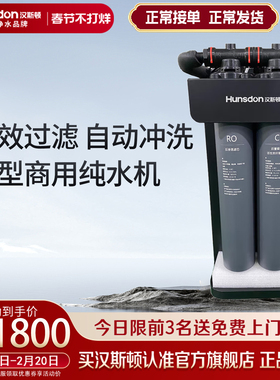 汉斯顿商用净水器ro反渗透直饮纯水机商用中央净水系统主机HR-M20