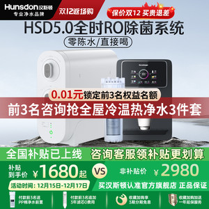 汉斯顿净水器家用直饮0阻垢剂0陈水厨房自来水过滤反渗透净水机D3