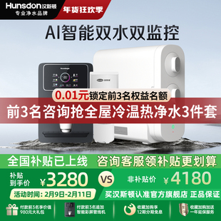 汉斯顿0阻垢剂双水净水器家用直饮厨房自来水过ro反渗透纯水机C2