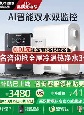 汉斯顿0阻垢剂双水净水器家用直饮厨房自来水过ro反渗透纯水机C2