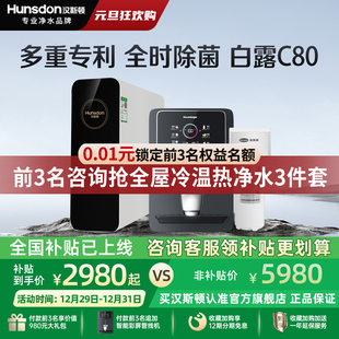 汉斯顿净水器家用直饮0阻垢剂ro反渗透专利净水机1601升级白露C80