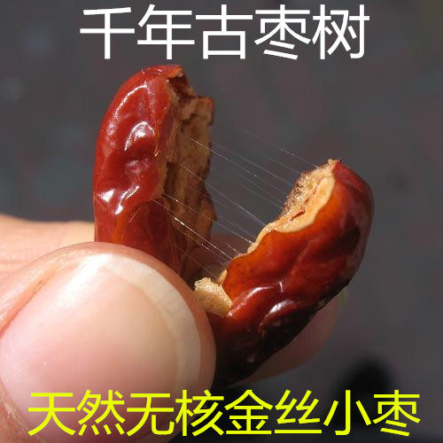 山东乐陵特产天然无核满金丝小枣