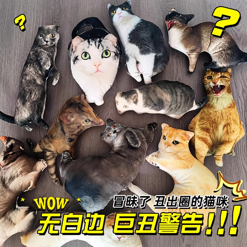 无白边异形丑猫咪抱枕定制礼物跨境爆款DIY人形照片抽象恶搞玩偶