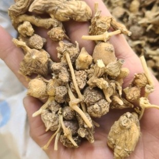 西藏林芝特产正宗野生竹节藏三七正品 田七中药材泡酒泡水可打粉