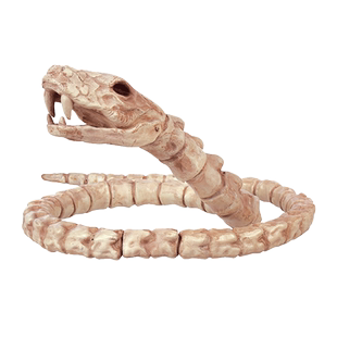 万圣节装饰用品鬼屋仿真猫青蛙动物骷髅骨头架子恐怖酒吧影视道具