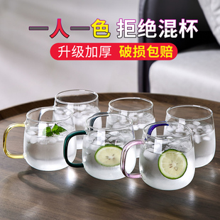 玻璃杯带把耐热简约牛奶杯ins喝水杯家用客厅泡茶杯家庭杯子套装