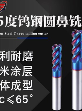 65度钨钢圆鼻刀四刃牛鼻加硬涂层加长立铣刀8R1/6R0.5/10R0.2高硬