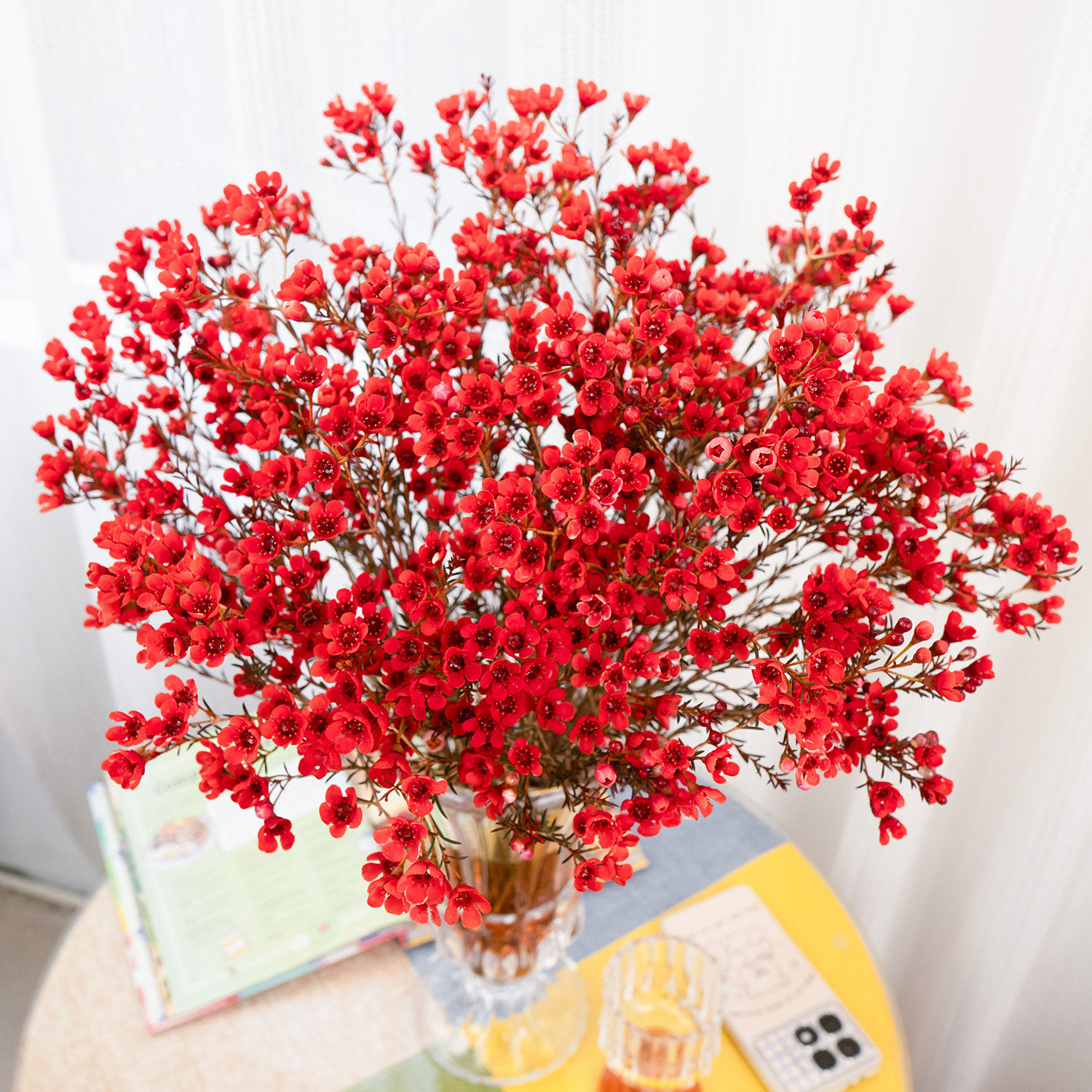 腊梅冬青康乃馨洋牡丹郁金香年宵花鲜花节日装饰云南基地直发,鲜花速递/花卉仿真/绿植园艺,花材,淘宝优惠券,粉丝福利购,淘宝优惠卷