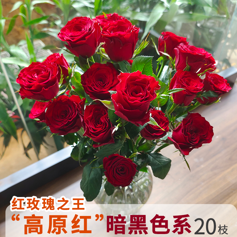 基地直发云南昆明鲜花