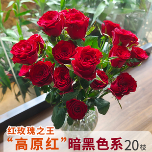 云南昆明鲜花基地直发红玫瑰花斗南直批家庭水养玫瑰花