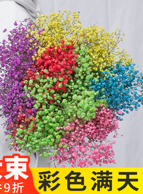 满天星鲜花自然风干半干花束云南基地直发彩色白色插瓶搭花束