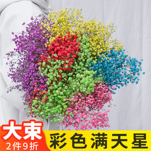 满天星鲜花自然风干半干花束云南基地直发彩色白色插瓶搭花束