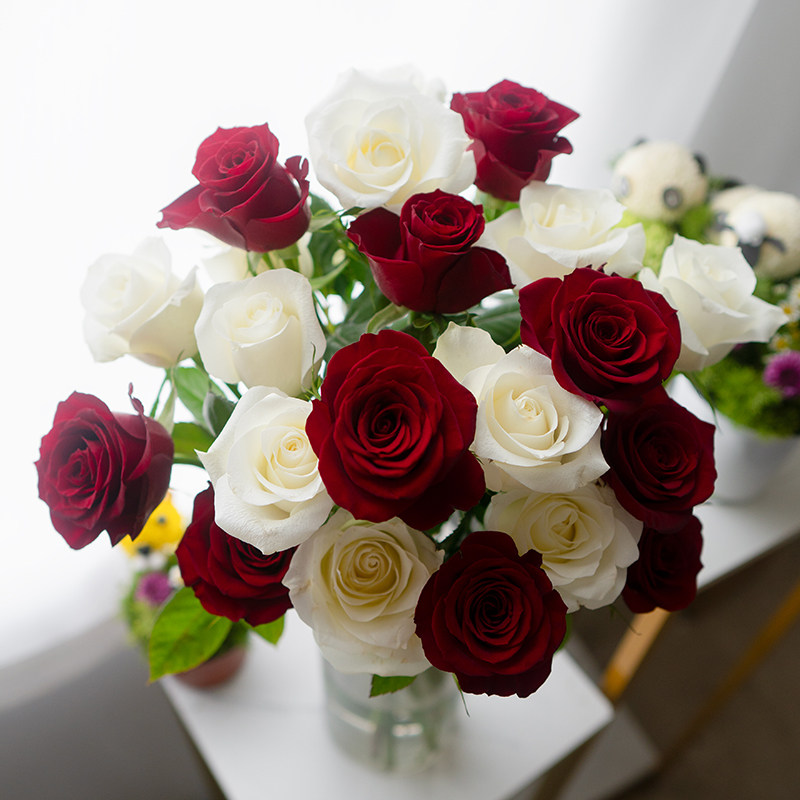 云南基地直发玫瑰鲜花家庭水养