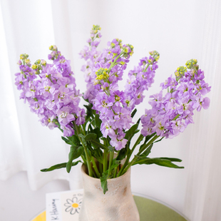 紫罗兰鲜花云南基地直发水养玫瑰花百合搭配时令鲜花真鲜切花束