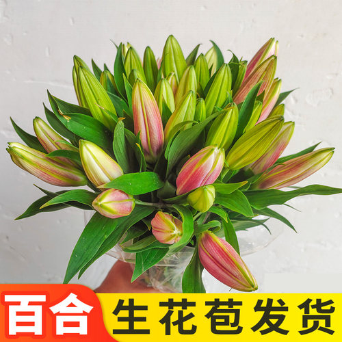 香水家庭插花百合鲜花