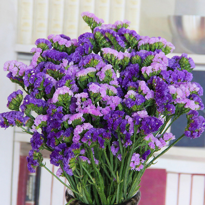 云南勿忘我客厅鲜花装饰