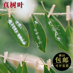 真树叶活动签到墙绿叶签名结婚礼晚宴创意签字叶植物签到笔材料包