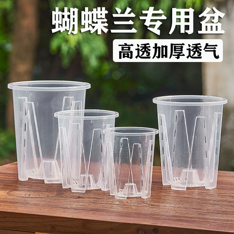 蝴蝶兰盆花盆侬花村塑料透明简约