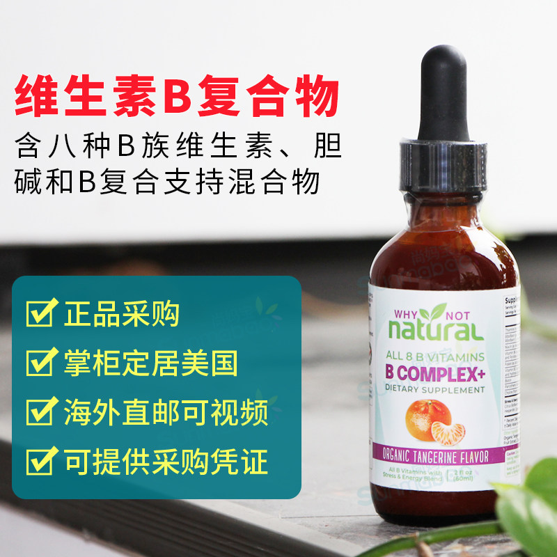 美国 Why Not Natural 维生素B族维生素复合物液体滴剂柑橘味60ml