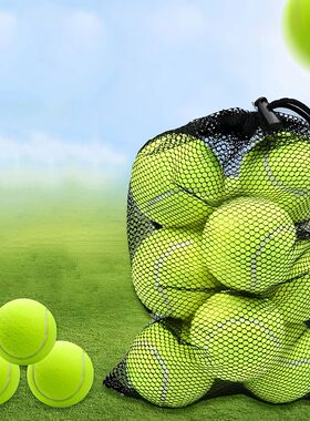 10pcs Tennis Balls With Mesh Carry Bag Practice Ball High