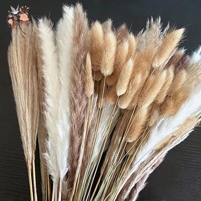 Natural Pampas Dried Flowers Bouquet for Boho Home Vase Deco