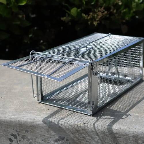 Live Humane Cage Trap for Squirrel Mouse Rat Mice Rodent Ani