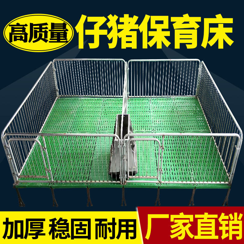热镀锌保育栏小猪保育床小猪崽全复合双体仔猪保育床仔猪用保育床