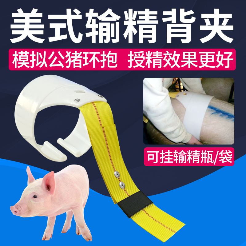 美式猪自动输精背夹输精夹母猪输精夹猪用输精支架人工授精辅助圈