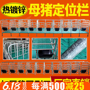 热镀锌母猪用产床保育床猪用限位栏限位栏带漏粪板加厚定位栏复合