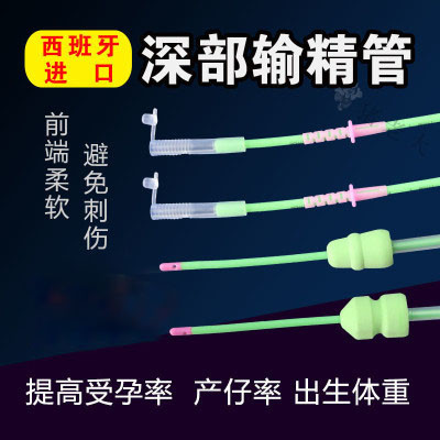 软头输精管西班牙猪用人工授精猪
