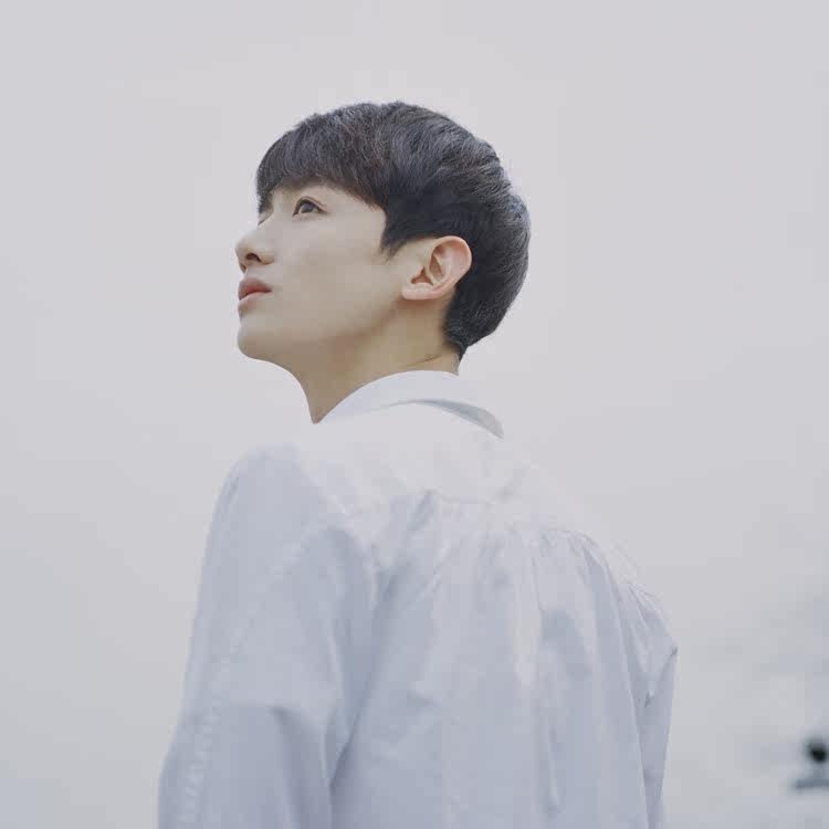 Perruque cheveux raides Court - Ref 2613051 Image 5