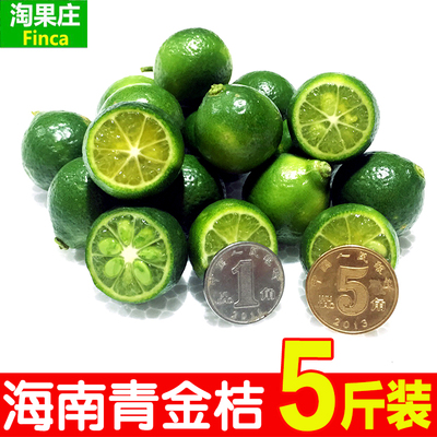 海南青金桔小青桔酸金桔青金橘奶茶店5斤装包邮现摘海南产地直发