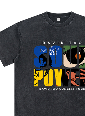 水洗黑/陶喆soulpower演唱会周边t恤夏季男女同款专辑短袖衣服