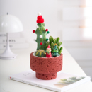 仙人掌多肉组合盆栽办公桌面室内仙人球植物绿植送礼 圣诞礼物