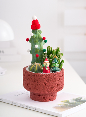 【圣诞礼物】仙人掌多肉组合盆栽办公桌面室内仙人球植物绿植送礼