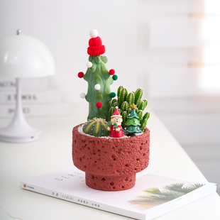 仙人掌多肉组合盆栽办公桌面室内仙人球植物绿植送礼 圣诞礼物