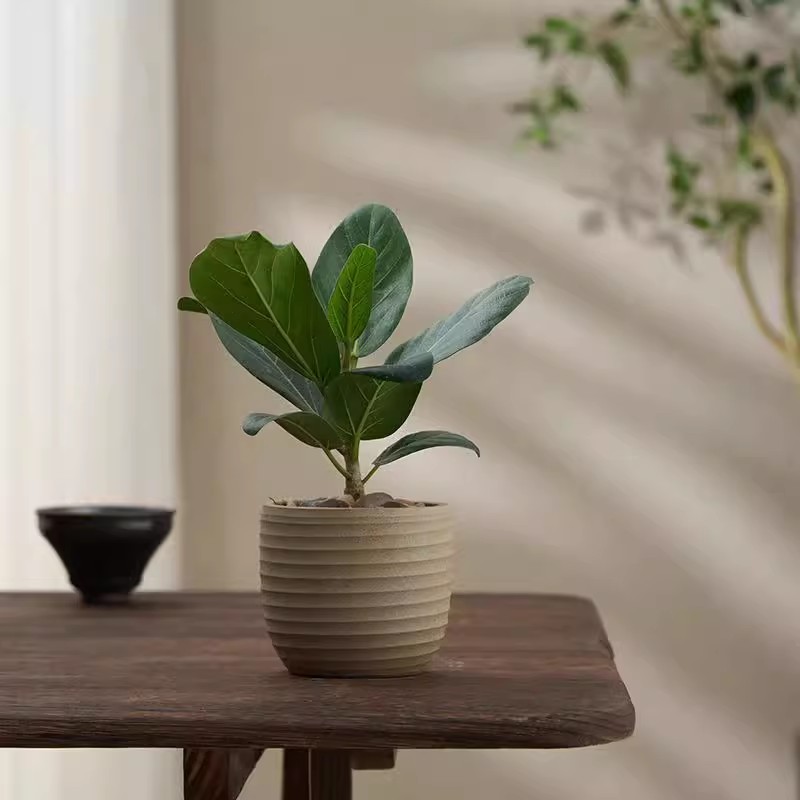 胡椒木客厅卧室美观趣味