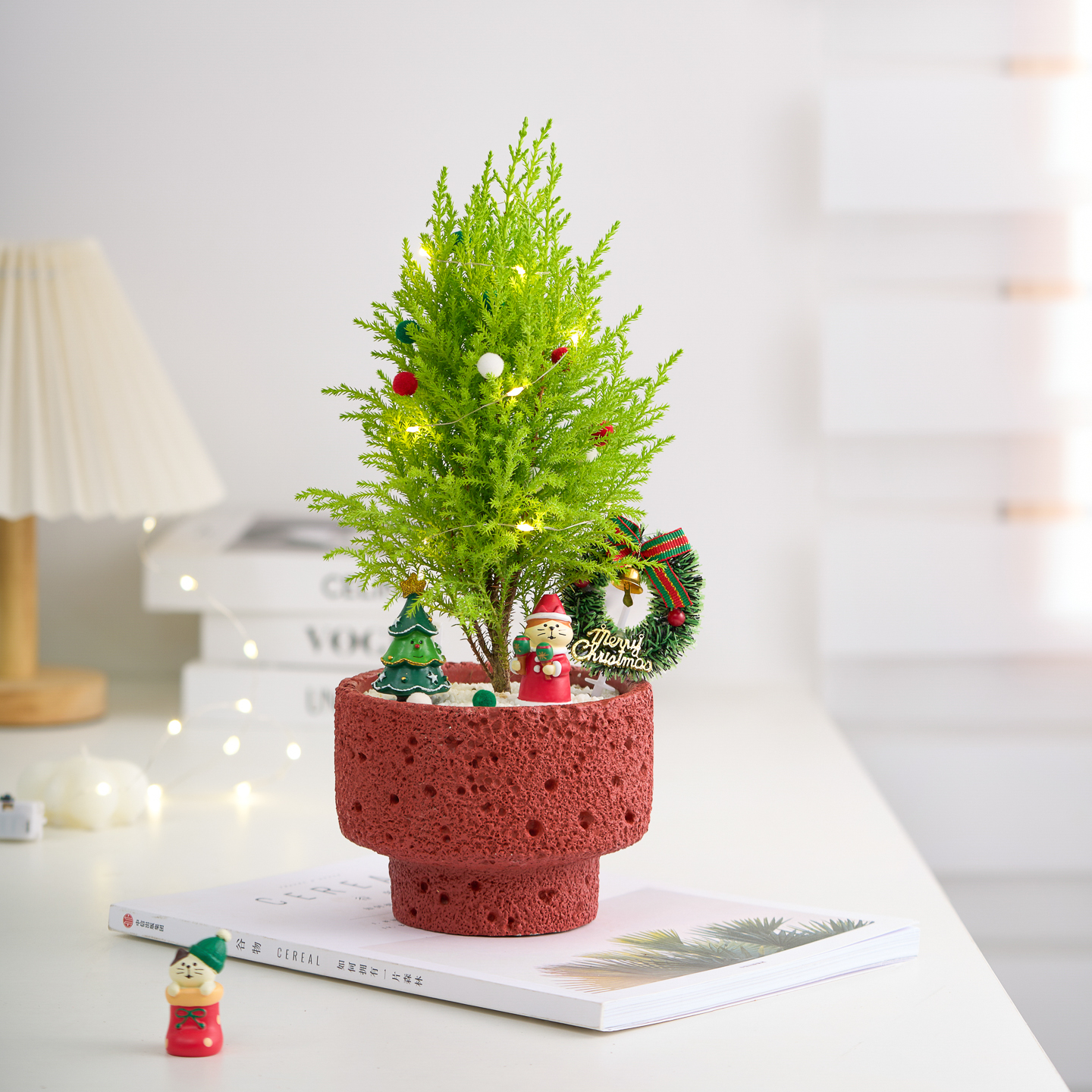 【圣诞礼物】圣诞树香松盆栽创意礼物送礼女朋友闺蜜办公室内摆件