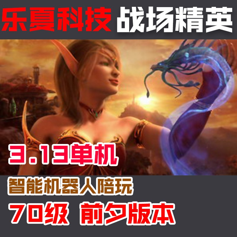 乐夏313精英战场魔兽世界70级单机版超智能AI假人陪玩wow一键启动 商务/设计服务 其它设计服务 原图主图