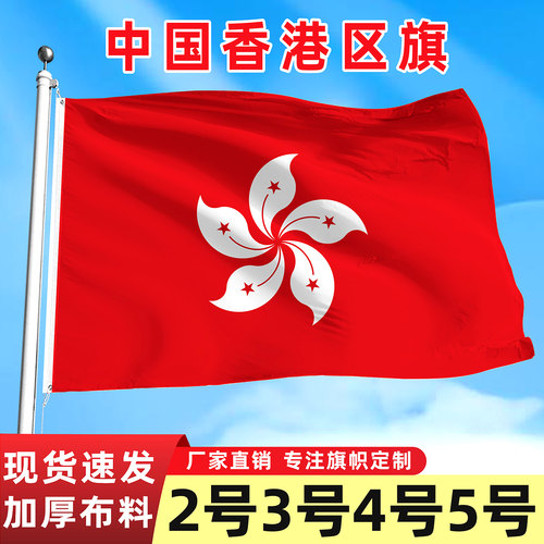 飘昇中国香港区旗4号5号紫荆花旗