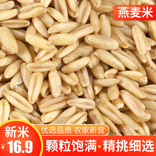 优质燕麦米价格 优质燕麦米图片 星期三