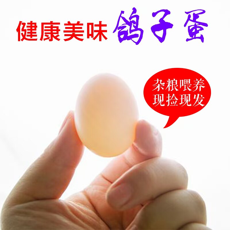 农家鸽子蛋包邮信鸽30枚20g以上五谷杂粮喂养白鸽蛋新鲜宝宝辅食