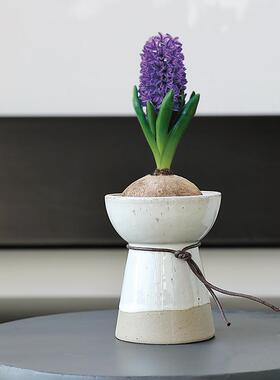 北欧小花瓶风信子种球植物瑞典创意水培桌面插花陶瓷花器空气凤梨