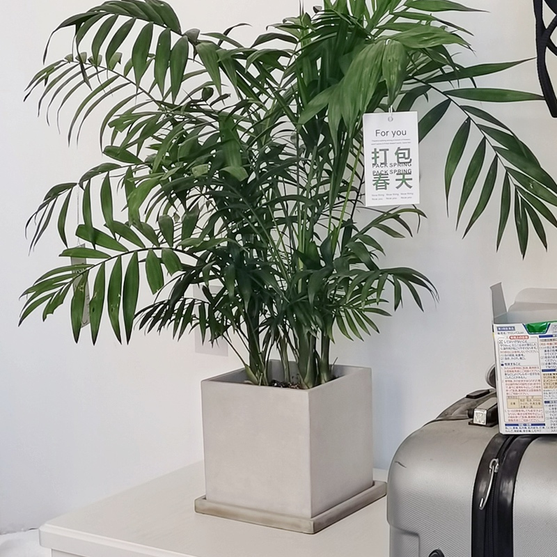 北欧简约水泥多肉花盆透气